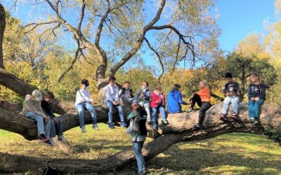 Den Wald mit allen Sinnen erleben