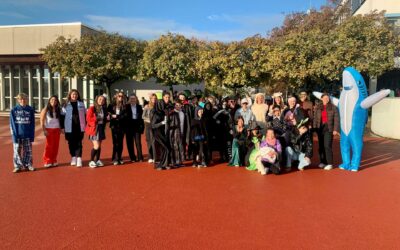Von Teufeln und Hexen – Halloween am Stifts