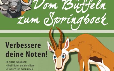 Auslobung des „Springbocks“ der Bürgerstiftung Sindelfingen