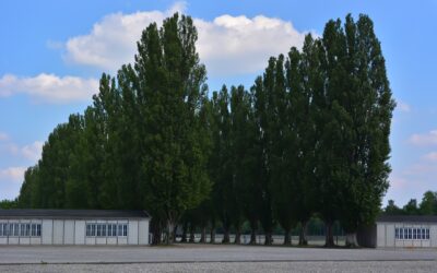 Eine eindrückliche Exkursion zum Konzentrationslager Dachau –  Es darf nie wieder geschehen!