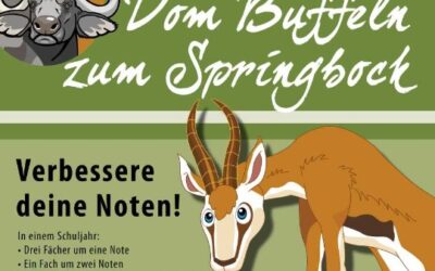 Springbock-Ausschreibung der Bürgerstiftung Sindelfingen 2025
